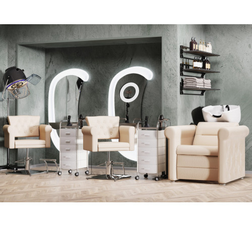 Комплект Грейс (кресло+мойка)