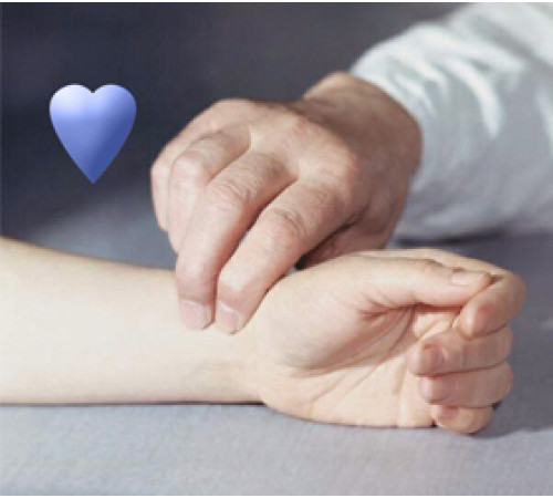 Беговая дорожка OXYGEN FITNESS NEW CLASSIC AURUM AC LCD