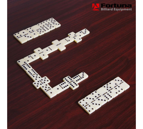 Бильярдный стол Fortuna Пул 6фт 9 в 1 с комплектом аксессуаров