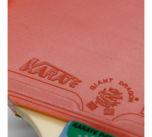 Теннисная ракетка Dragon Karate 4 Start New (прямая)