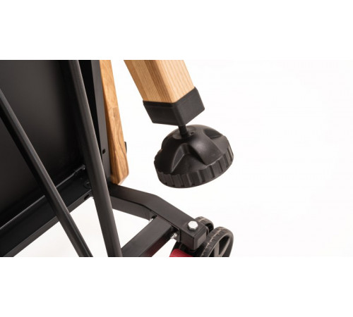 Теннисный стол складной для помещений "RASSON PREMIUM T01 Indoor" (274 х 152,5 х 76 см, натуральный ясень) с сеткой